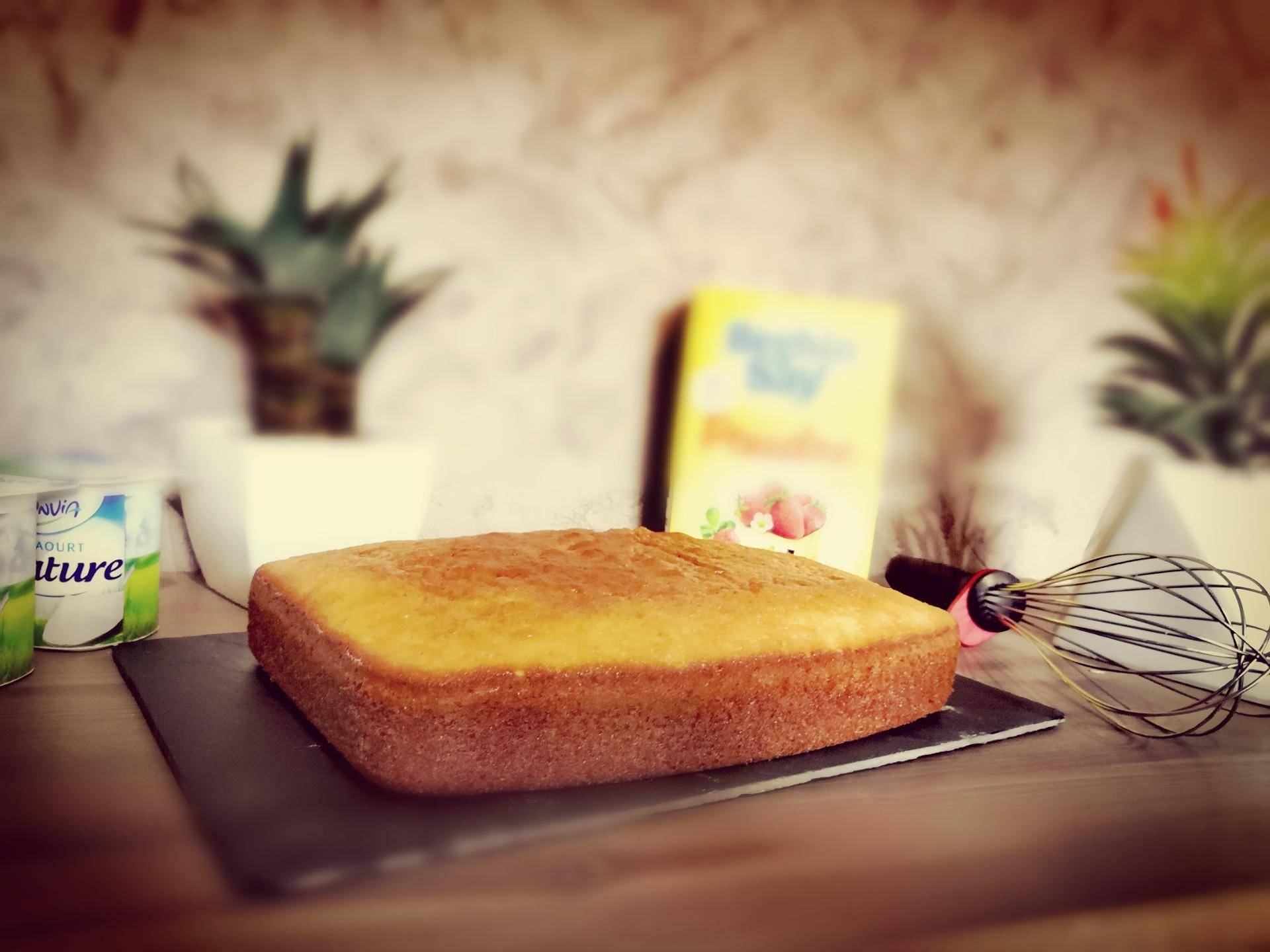 Gâteau yaourt - Recette Cake Factory | Tefal