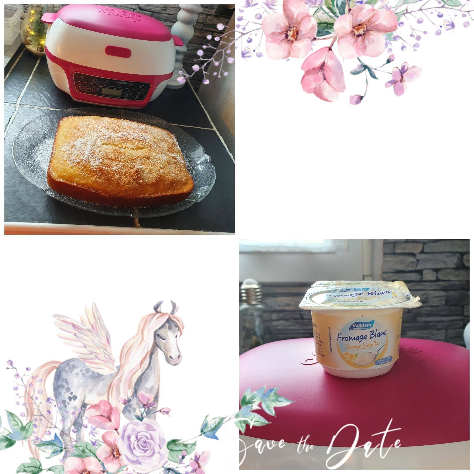 Gâteau fromage blanc vanille et noix de coco - Recepten Cake Factory | Tefal